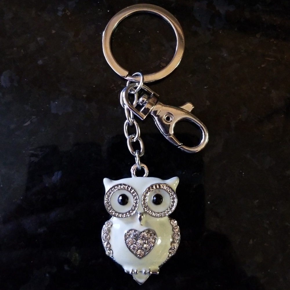 Owl keychain